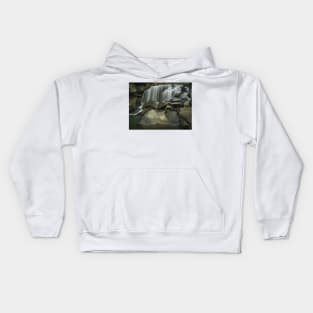 Wolf Creek From The Water Kids Hoodie